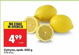 Biedronka Cytryny oferta