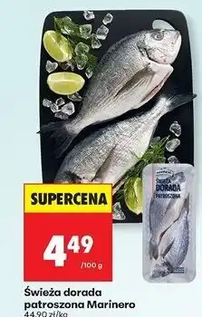 Biedronka Dorada patroszona świeża Marinero oferta