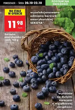 Biedronka Borówka amerykańska oferta