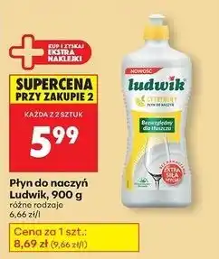Biedronka Płyn do naczyń cytrynowy Ludwik oferta