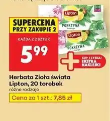 Biedronka Herbatka pokrzywa z mango Lipton Zioła Świata oferta