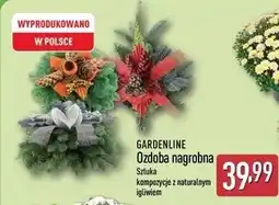 ALDI Kompozycja z naturalnym igliwiem Gardenline oferta