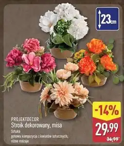 ALDI Stroik w misie Projektdecor oferta