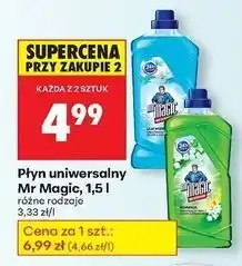 Biedronka Płyn uniwersalny lilia wodna Mr Magic oferta