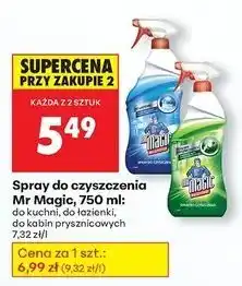 Biedronka Spray do kuchni Mr Magic oferta