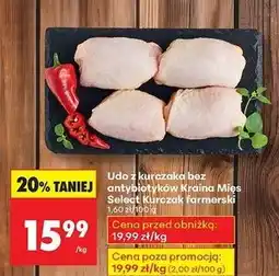 Biedronka Udo z kurczaka Kraina Mięs oferta