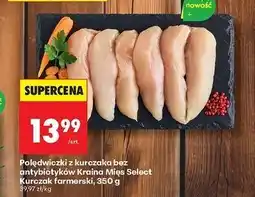 Biedronka Polędwiczki z kurczaka Kraina Mięs oferta