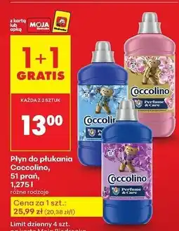 Biedronka Płyn do płukania purple orchid & blueberries Coccolino Perfume Care oferta