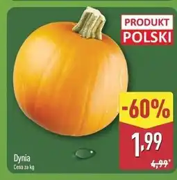 ALDI Dynia polska oferta