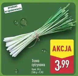 ALDI Trawa cytrynowa oferta