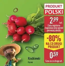 ALDI Rzodkiewka oferta