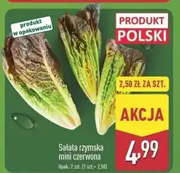 ALDI Sałata rzymska mini czerwona polska oferta