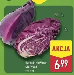 ALDI Kapusta stożkowa oferta