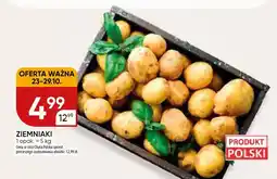 Chata Polska Ziemniaki Chata Polska oferta