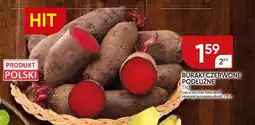 Chata Polska Buraki czerwone podłużne Chata Polska oferta