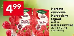 Lewiatan Herbata owocowa Herbaciany Ogród malina z żurawiną Herbapol oferta