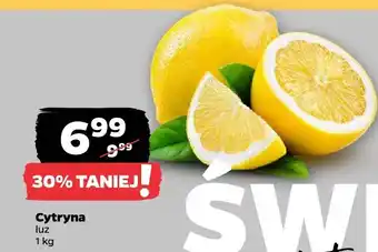 Cytryna Netto