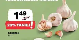 Netto Czosnek 1 szt Netto oferta