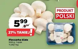 Netto Pieczarka biała 500 g Netto oferta