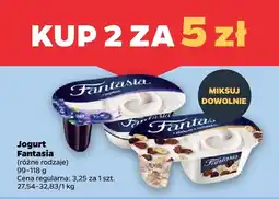 Netto Jogurt różne rodzaje 2 szt. Fantasia oferta
