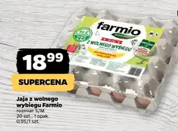 Netto Jaja z wolnego wybiegu Farmio oferta