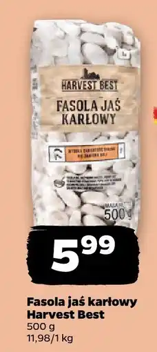 Netto Fasola jaś karłowy 500 g Harvest Best oferta
