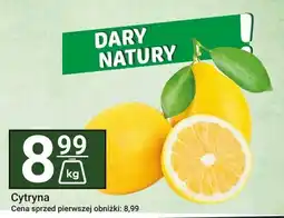 Hitpol Cytryna Hitpol oferta