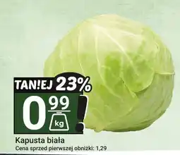 Hitpol Kapusta biała Hitpol oferta