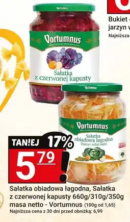 Hitpol Sałatka obiadowa łagodna, Sałatka z czerwonej kapusty Vortumnus oferta