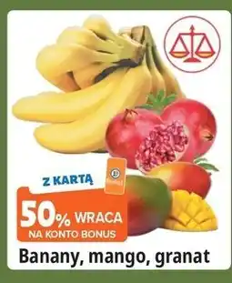 E.Leclerc Granat oferta