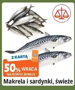 E.Leclerc Sardynki świeże oferta