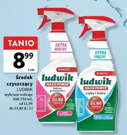 Intermarche Spray do kabin prysznicowych Ludwik Maxx Power oferta
