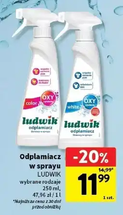 Intermarche Odplamiacz w sprayu white Ludwik oferta