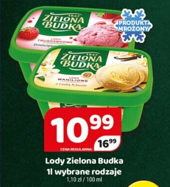 Delfin Lody Zielona Budka 1l oferta