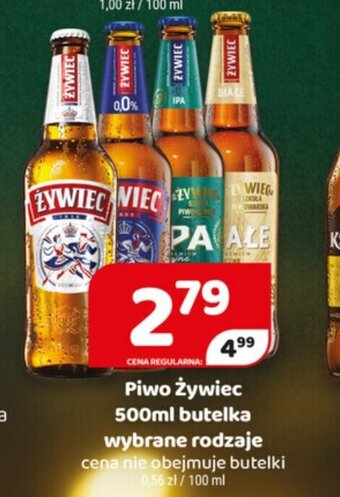 Delfin Piwo Żywiec 500ml oferta