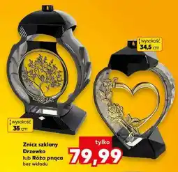 Kaufland Znicz szklany Drzewko lub Róża pnąca oferta