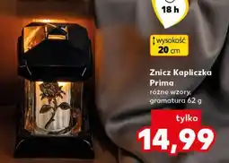 Kaufland Znicz Kapliczka Prima oferta