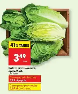 Biedronka sałata rzymska mini , opak . 2 szt oferta
