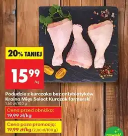 Biedronka Podudzie z kurczaka bez antybiotyków Kraina Mięs Select Kurczak farmerski oferta