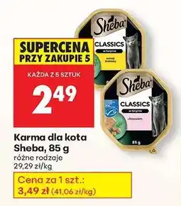 Biedronka Karma dla kota Sheba, 85 g oferta