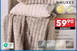 Biedronka Koc oferta