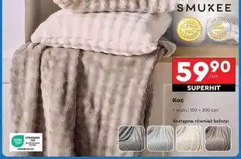 Biedronka Koc oferta
