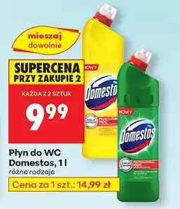 Biedronka Płyn do WC Domestos, 1l oferta