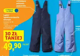 Lidl Spodnie narciarskie dziecięce oferta