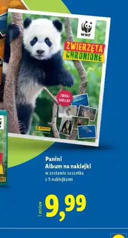 Lidl Panini Album na naklejki oferta
