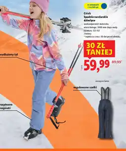 Lidl Crivit Spodnie narciarskie dziecięce oferta