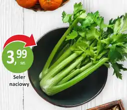 Passa Seler naciowy oferta
