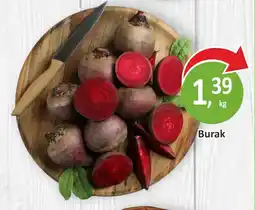 Passa Burak oferta