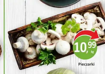 Passa Pieczarki oferta