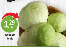 Passa Kapusta biała oferta